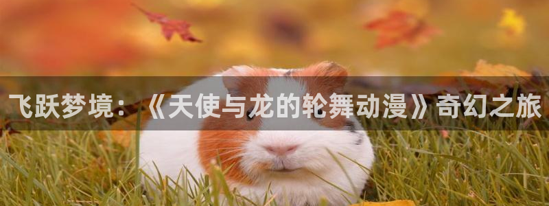里番动漫是什么：飞跃梦境：《天使与龙的轮舞动漫》奇幻之旅