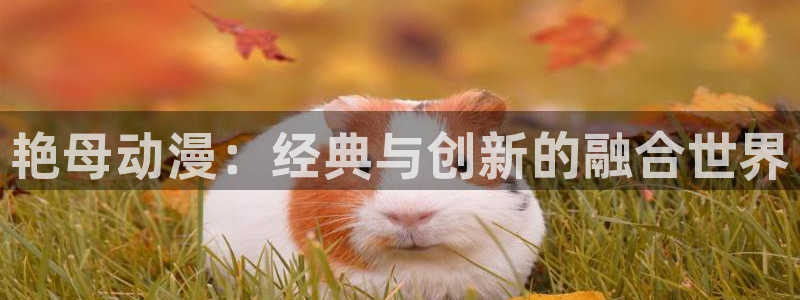 最新里番推荐