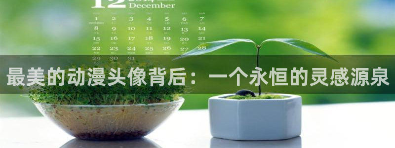 里番动漫最高质量
