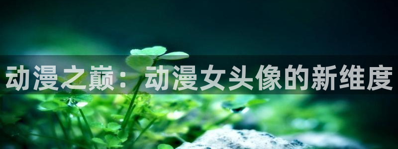 最新动漫里番推荐