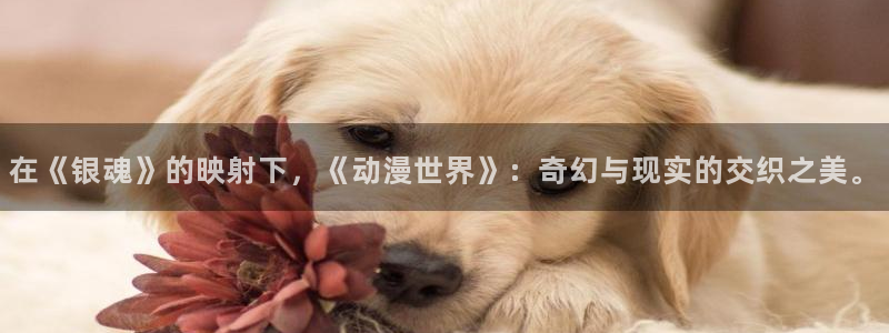 新番动漫里番