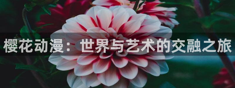 无限穿越里番动漫：樱花动漫：世界与艺术的交融之旅