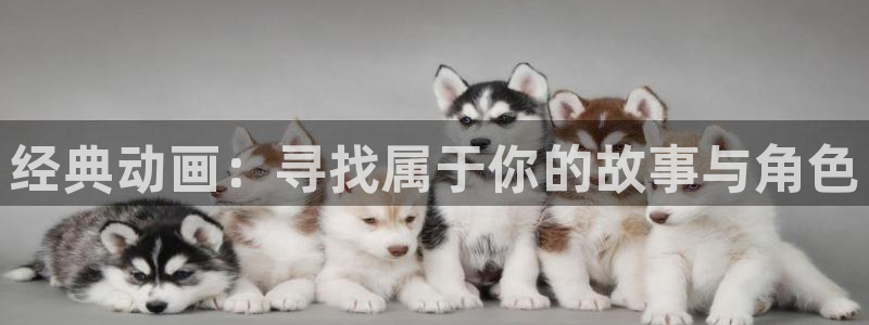 涩里番动漫网站